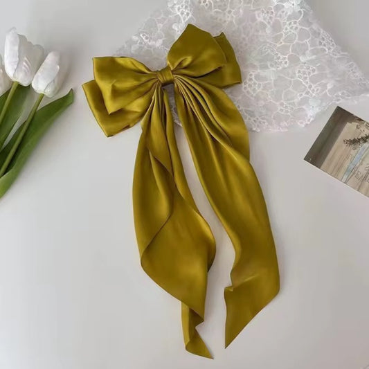 Pince bandeau cheveux
